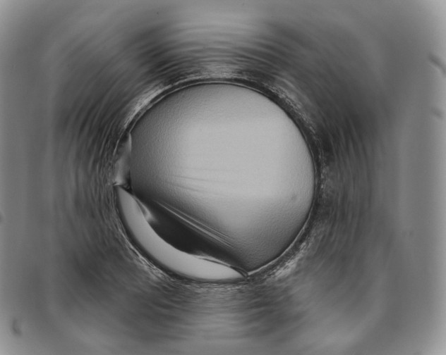 X0000096691081200803041256