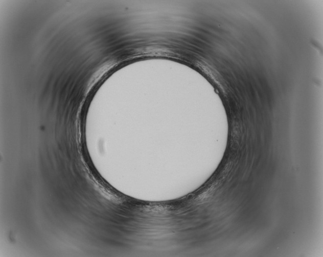 X0000096691082200803041256