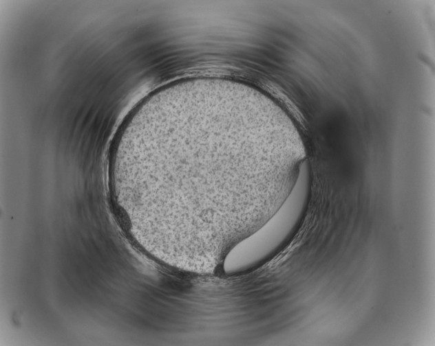 X0000096691083200803041256