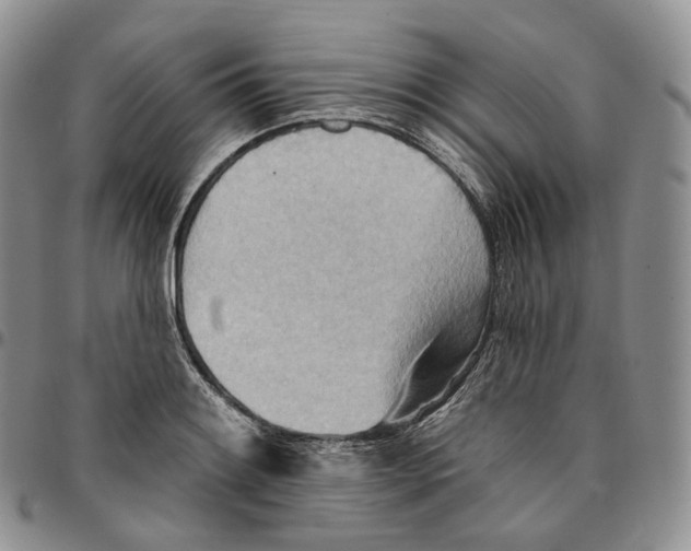 X0000096691084200803041256