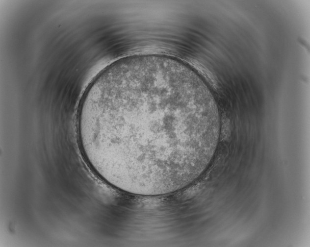 X0000096691086200803041256