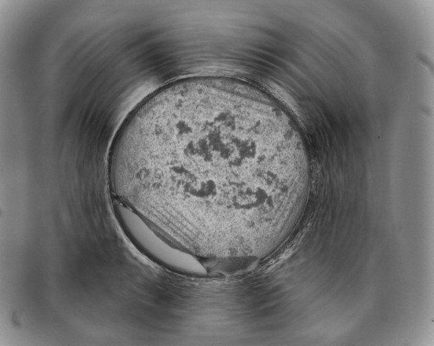 X0000096691087200803041256