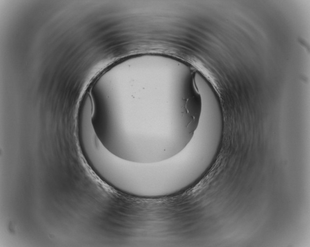 X0000096691088200803041256