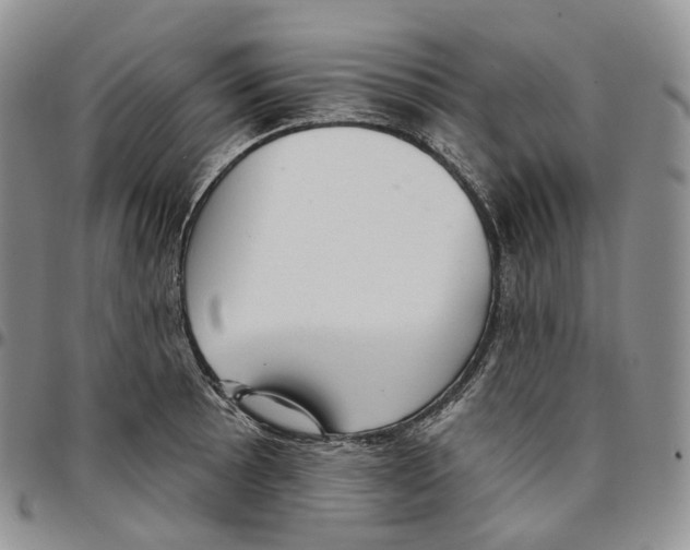 X0000096691089200803041256