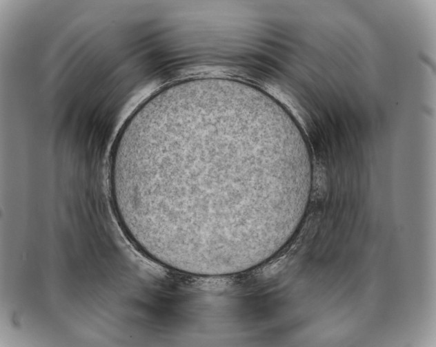 X0000096691090200803041256