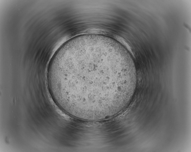 X0000096691091200803041256