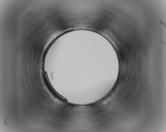 X0000096691093200803041255