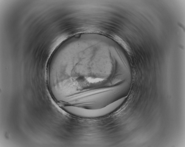 X0000096691095200803041255