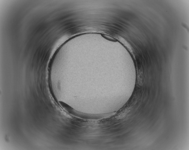 X0000096691096200803041255