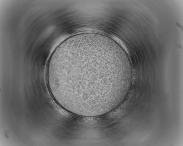 X0000096691098200803041255