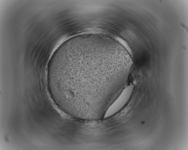 X0000096691099200803041255