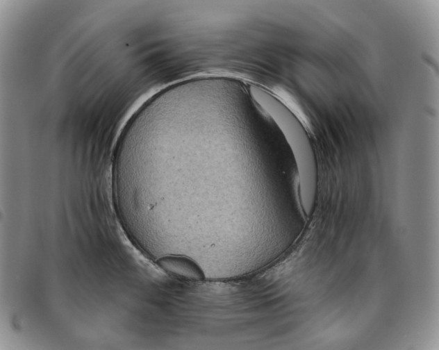 X0000096691100200803041255