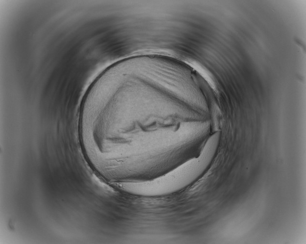 X0000096691102200803041255