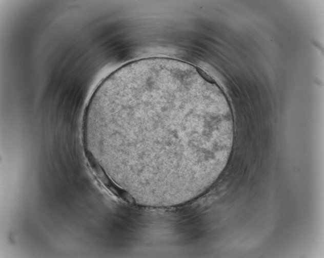 X0000096691104200803041255