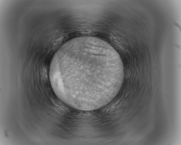 X0000096691106200803041255