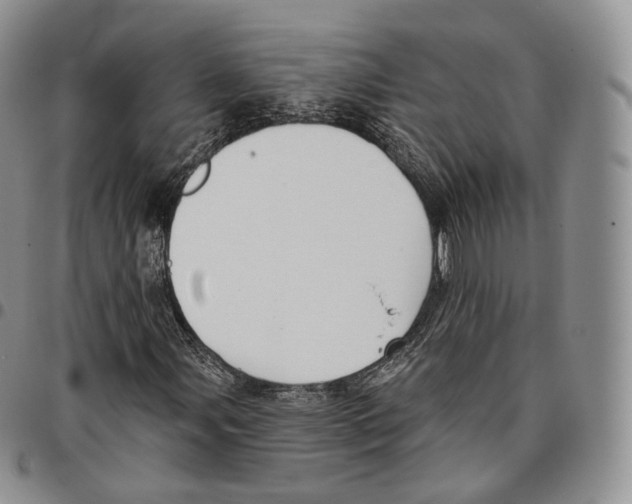 X0000096691107200803041255