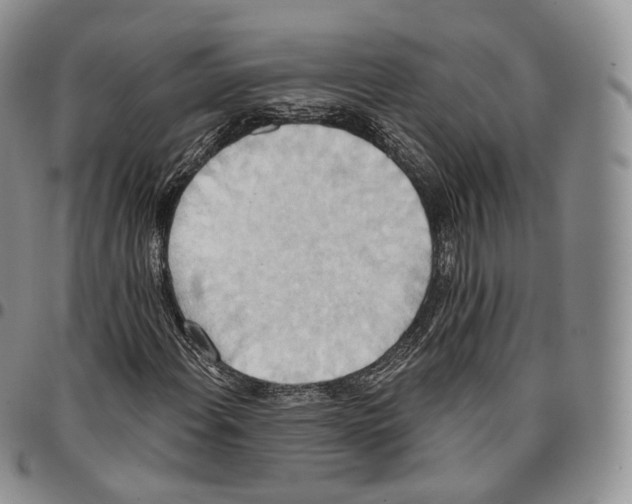 X0000096691108200803041255