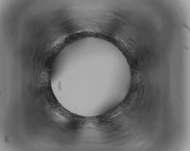 X0000096691110200803041255