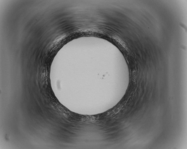 X0000096691111200803041255