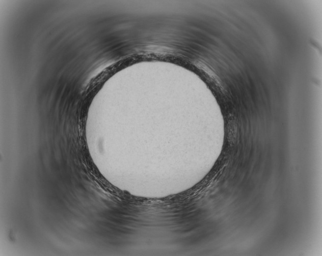 X0000096691112200803041255