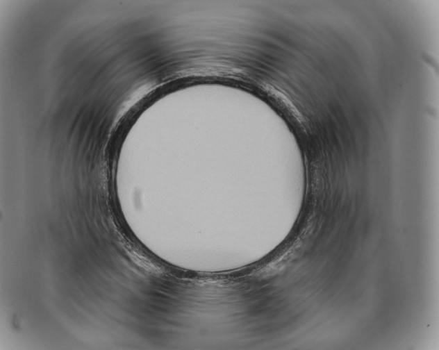 X0000096691114200803041255