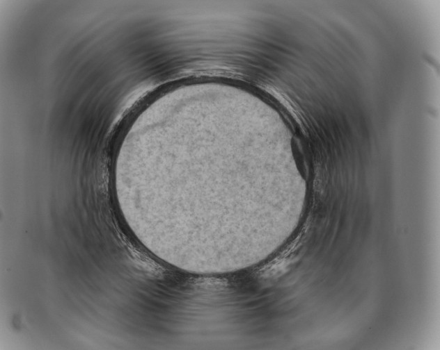 X0000096691115200803041255