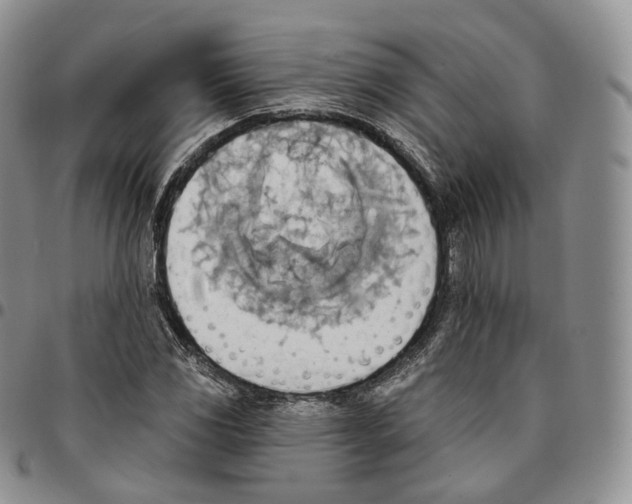 X0000096691117200803041255