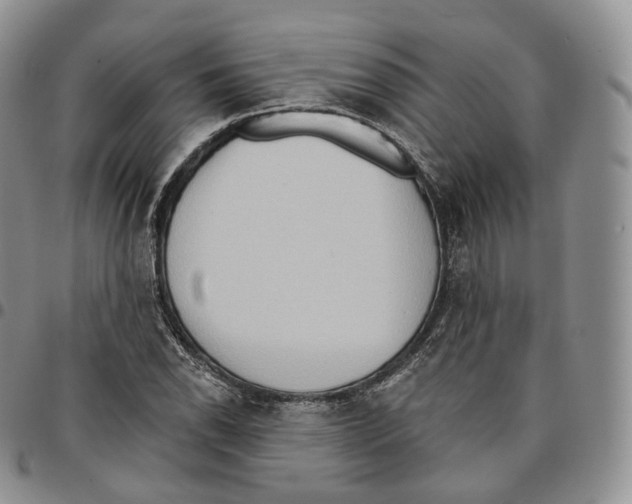 X0000096691118200803041255