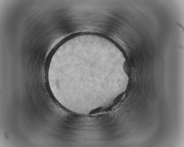 X0000096691120200803041255