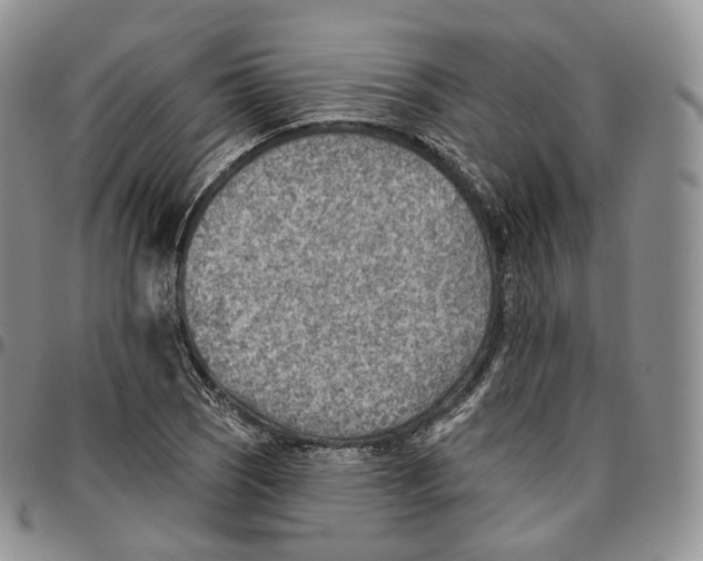 X0000096691121200803041255