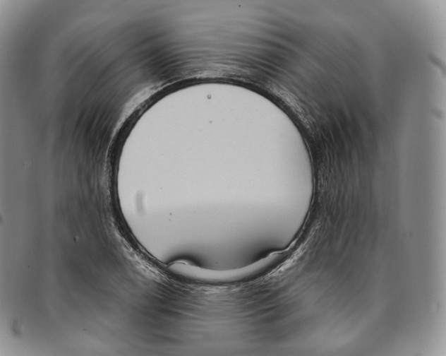 X0000096691122200803041255