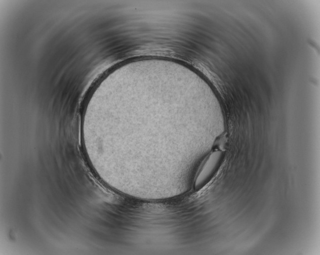 X0000096691123200803041255