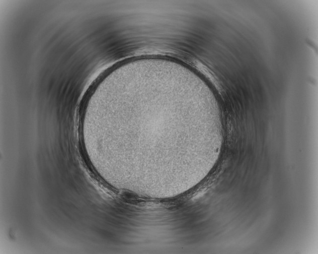 X0000096691124200803041255