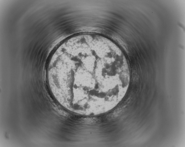 X0000096691125200803041255