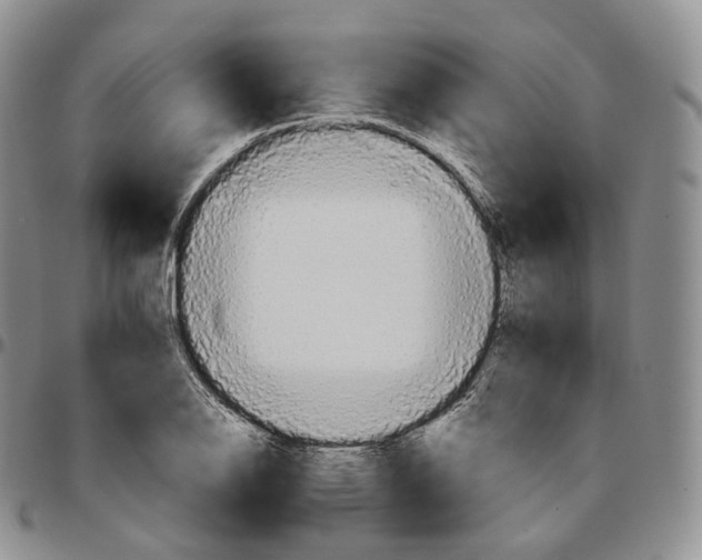 X0000096691126200803041255