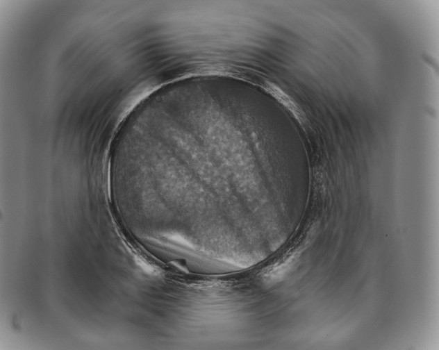 X0000096691127200803041255