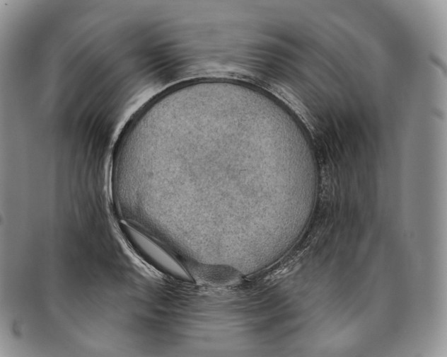 X0000096691128200803041255