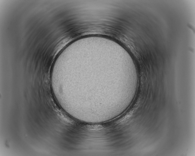 X0000096691129200803041255