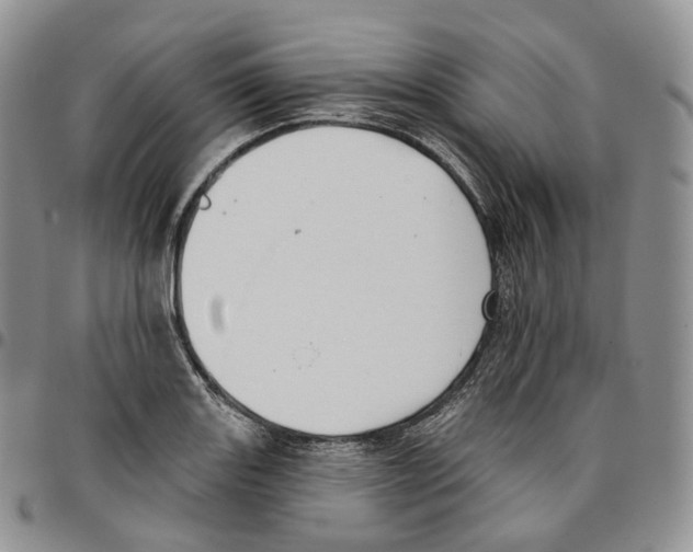 X0000096691131200803041255