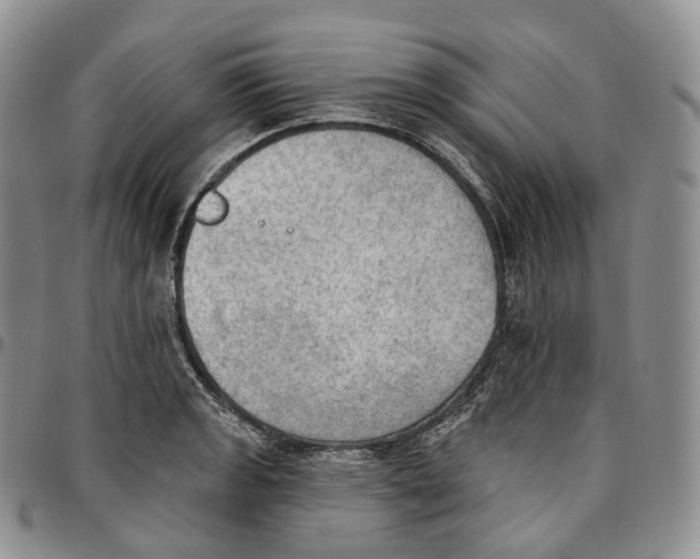 X0000096691133200803041255