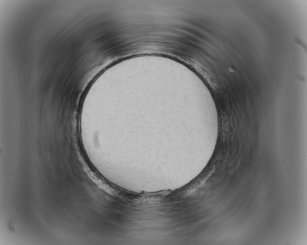 X0000096691134200803041255