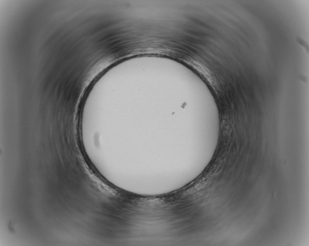 X0000096691135200803041255