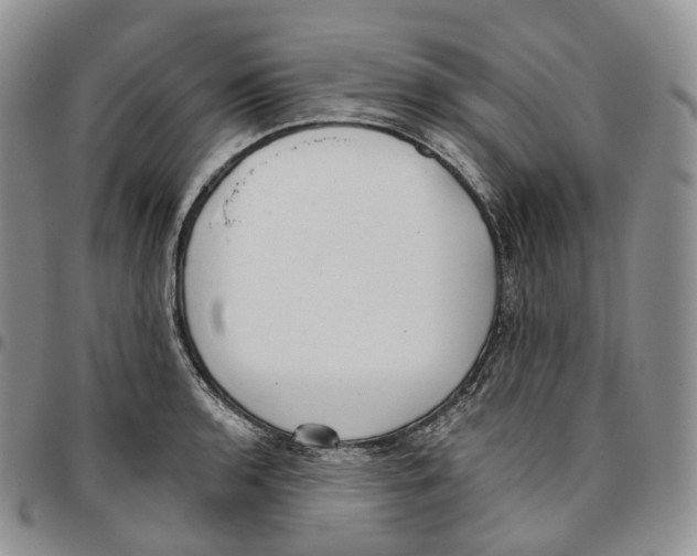 X0000096691136200803041255