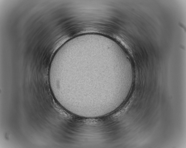 X0000096691137200803041255