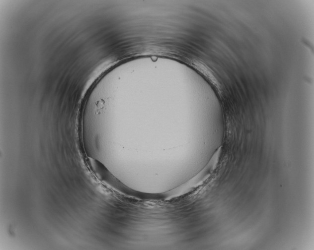 X0000096691138200803041255