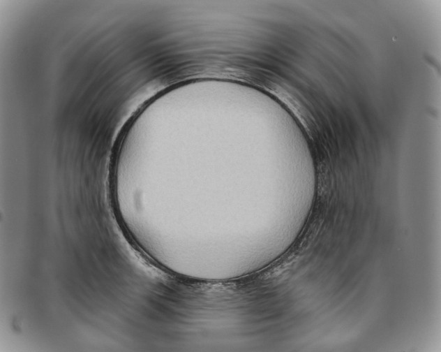 X0000096691139200803041255