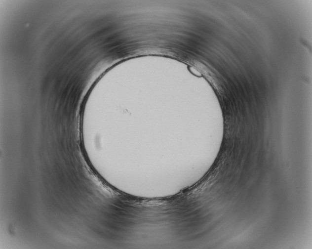 X0000096691140200803041255