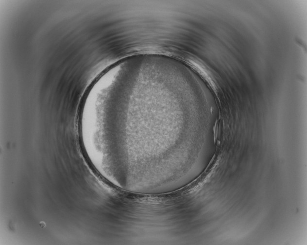 X0000096691141200803041255