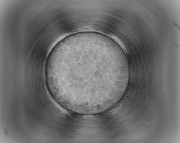 X0000096691142200803041255