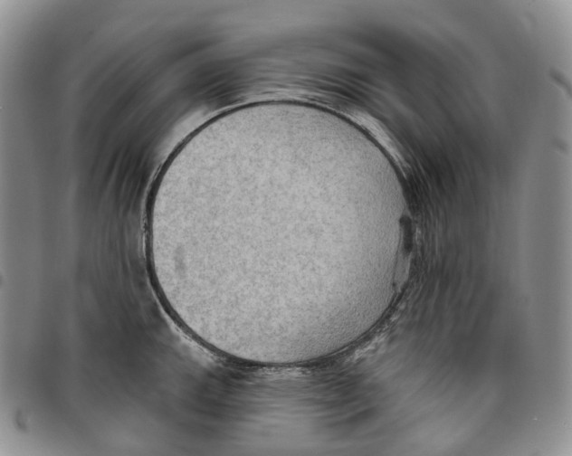 X0000096691143200803041255